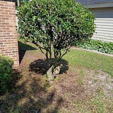 Tree-trimming-Pressure-Washing-Leaf-Blowing-in-Myrtle-Beach-SC 6